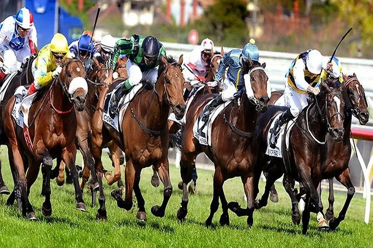 Tìm Hiểu Cá Cược Đua Ngựa VIN777: Hành Trình Thú Vị Cho Dân Cược